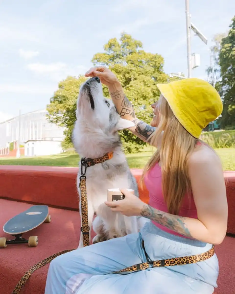 Skills Every Dog Should Learn