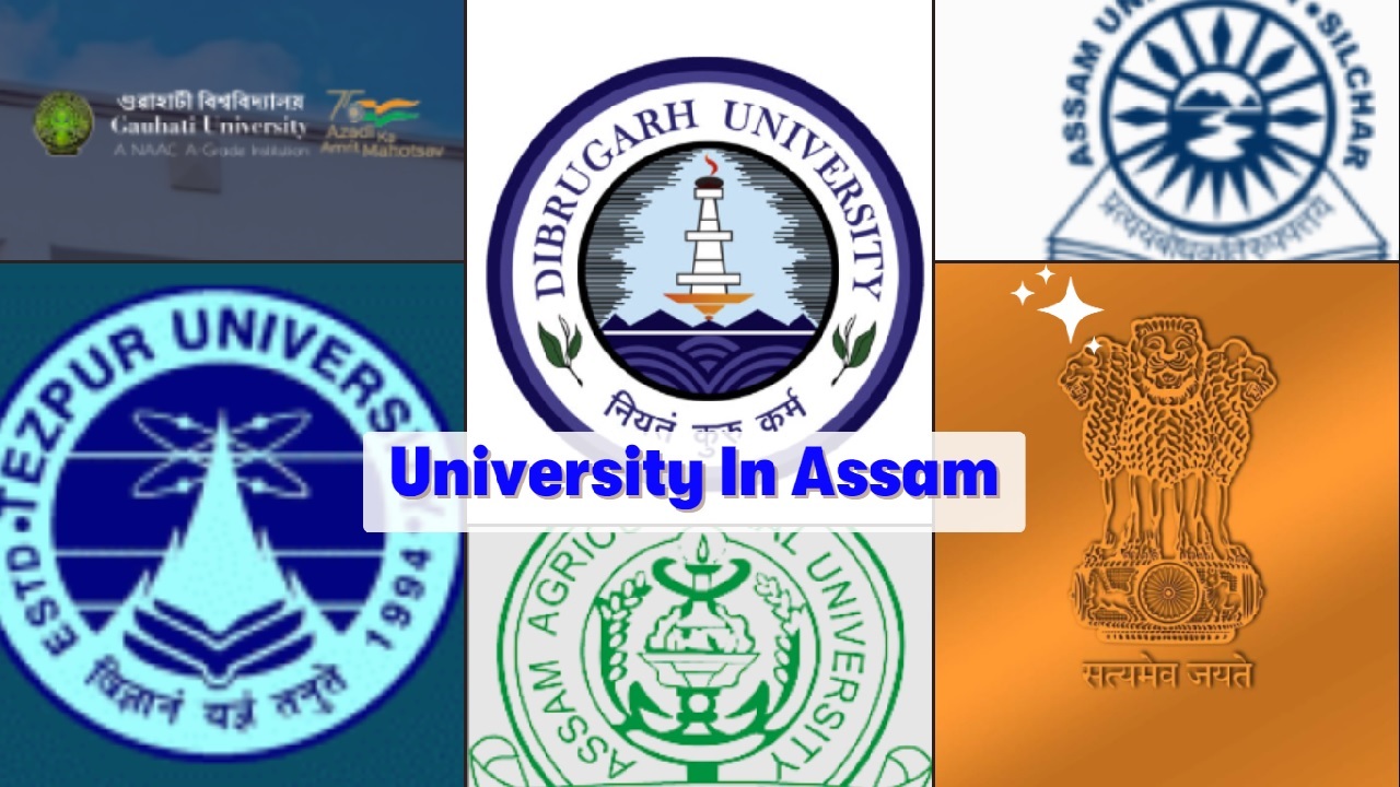 Top 12 Universities In Assam: Courses, Placement, Criteria, Fees, Website & Contact