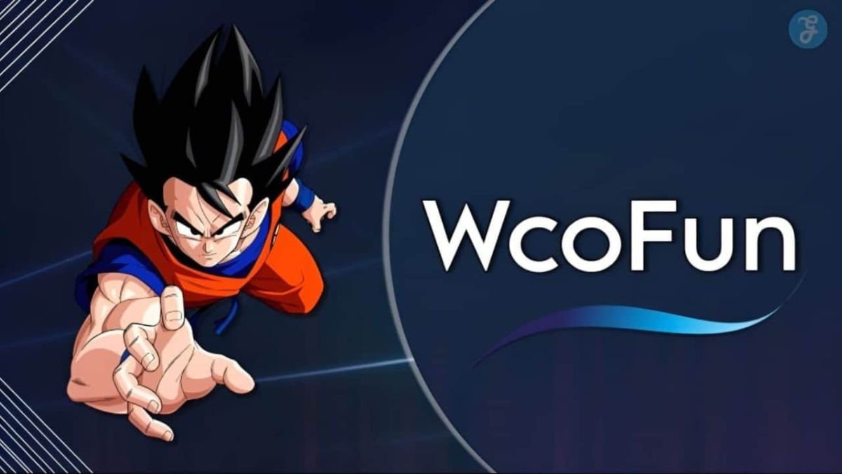 User watching anime on wcofun net via laptop