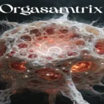 Orgasamtrix